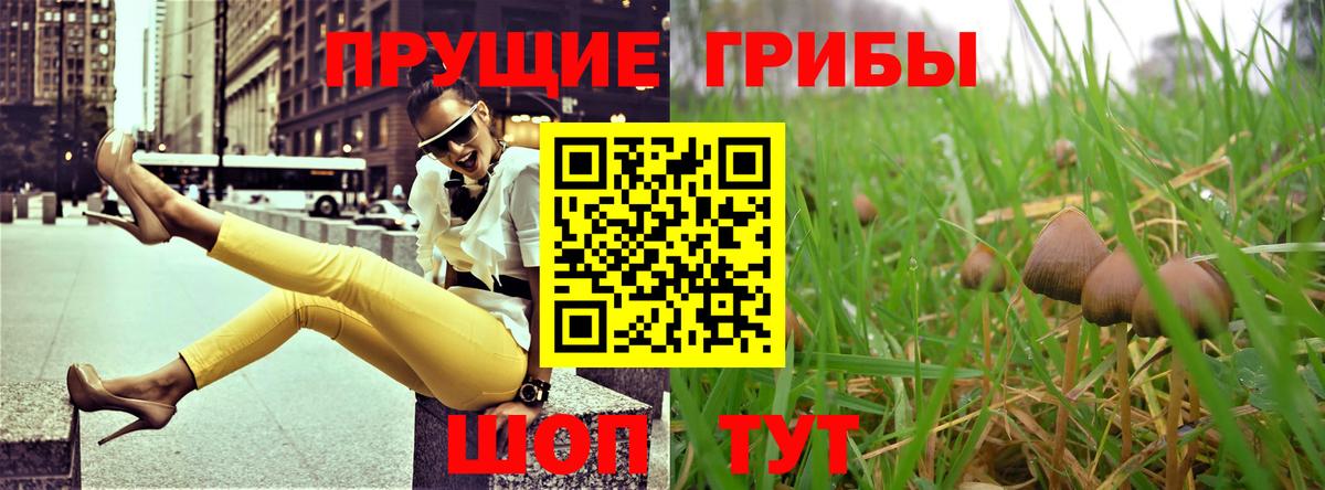 сколько стоит  Вход с VPN  Лабытнанги  Галлюциногенные грибы прущие грибы 