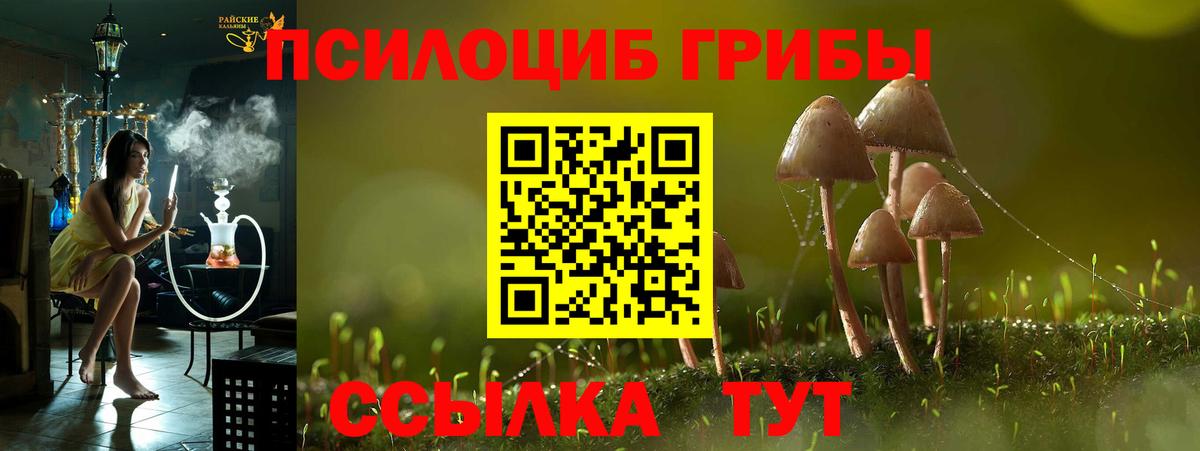 Псилоцибиновые грибы GOLDEN TEACHER Лабытнанги